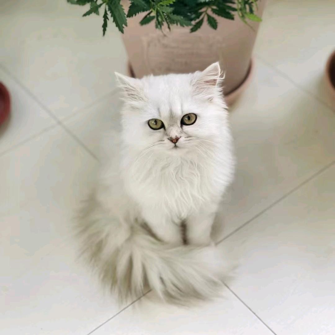 周小鱼爱收纳