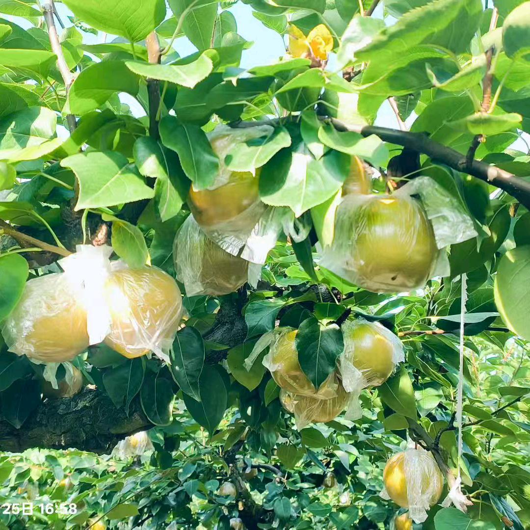 一生无悔