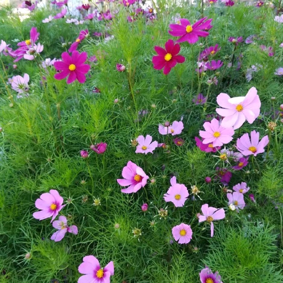 李 老师