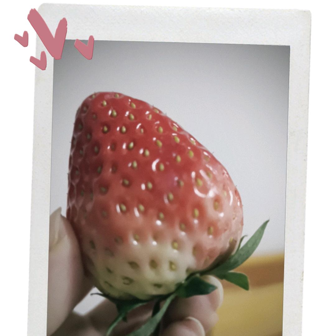 土匪中的山大王