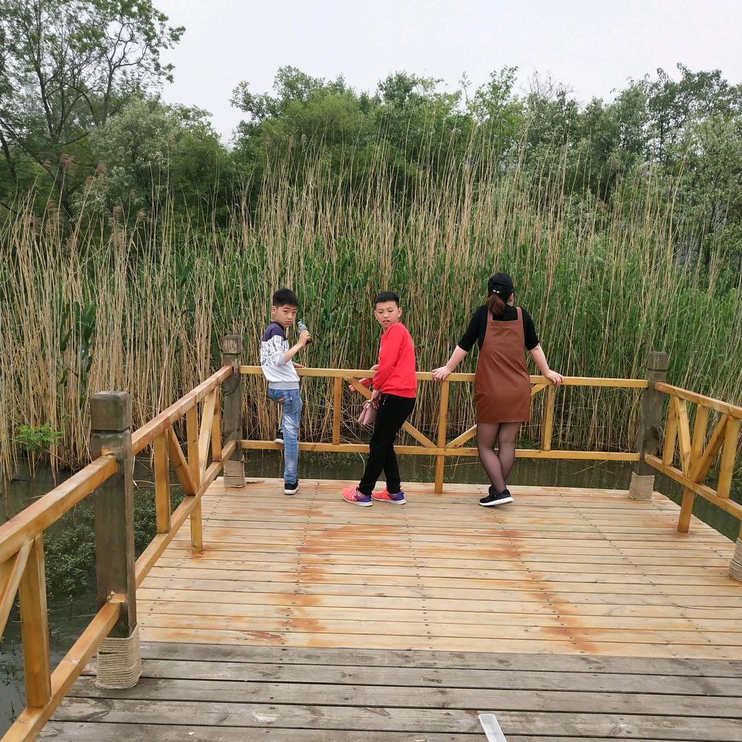 路上走的飞哥