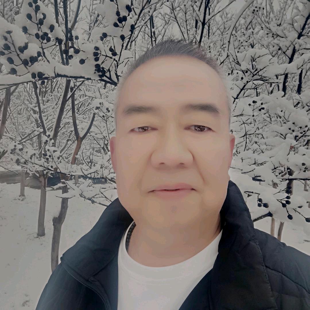 漫游的鲨鱼（朱哥）