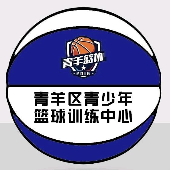 青羊区青少年篮球训练中心