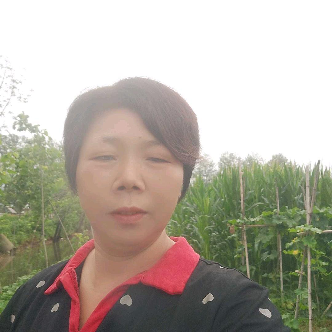 琴姐首播（不定时）