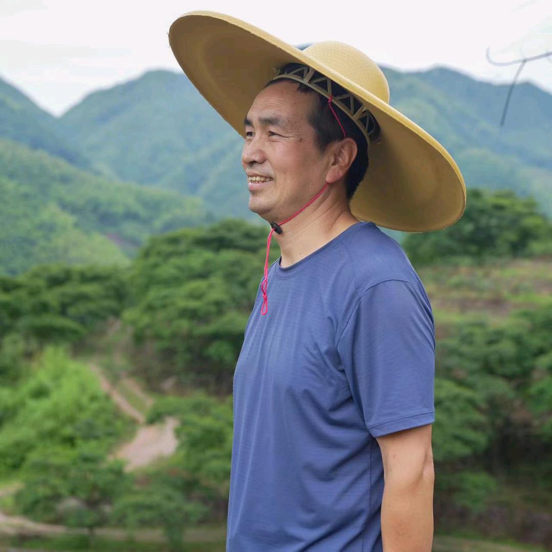 随园戴叔