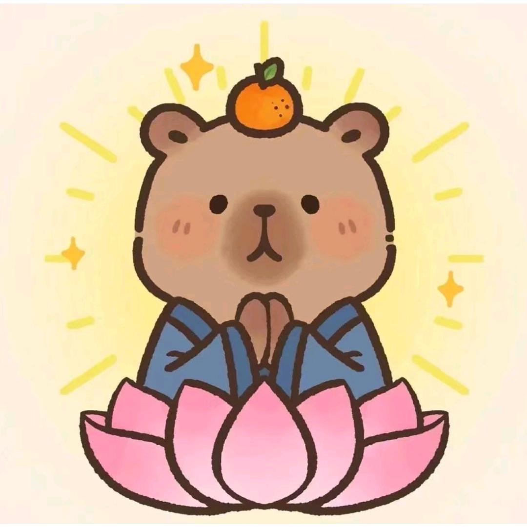 落葵（XX文案）