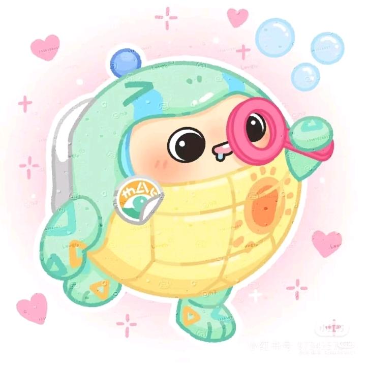 小乌龟~