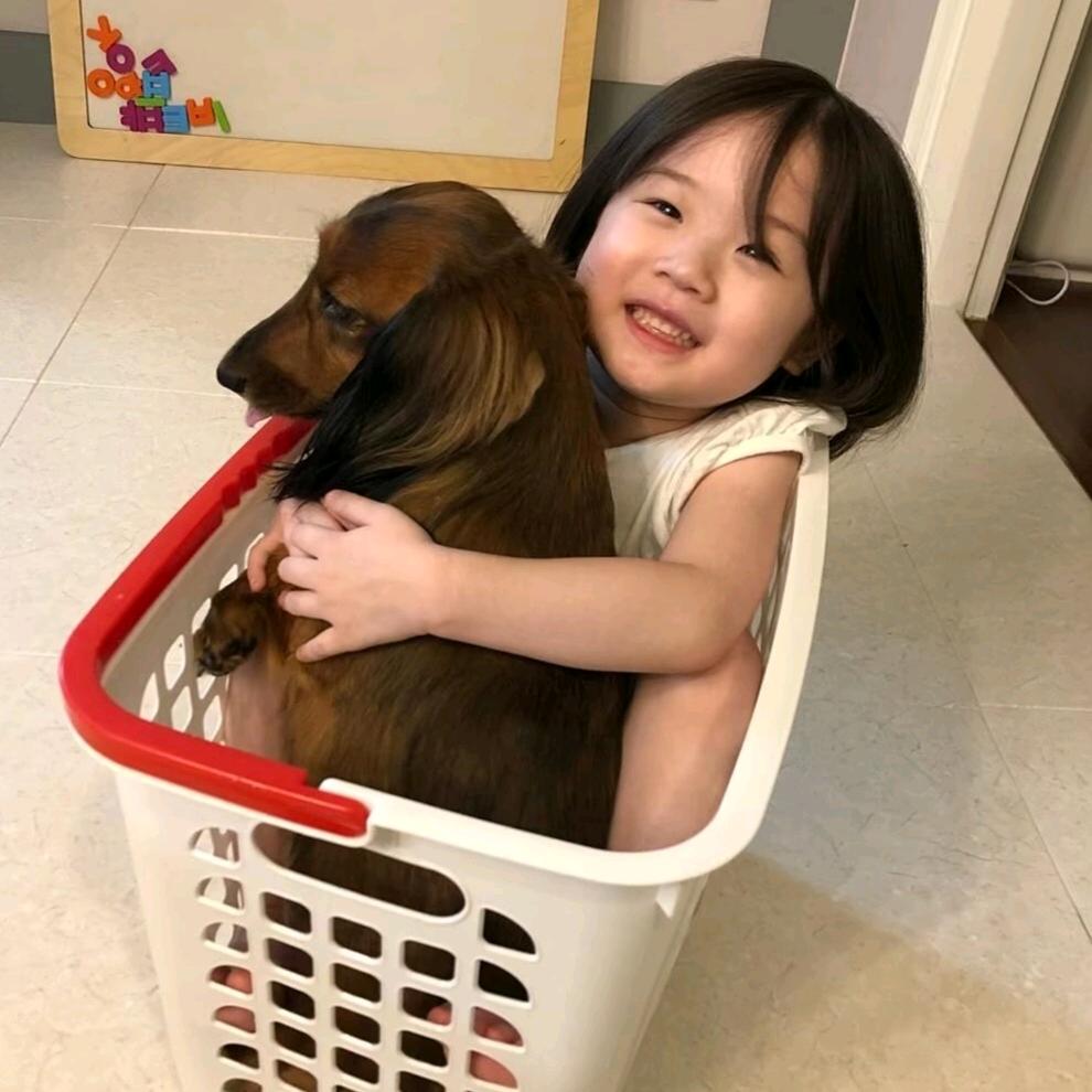 小棍蛋挞