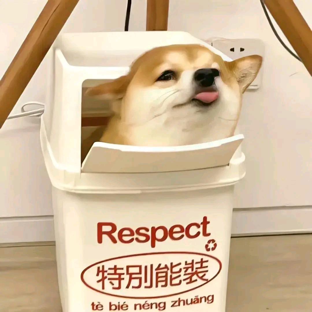 困困鱼