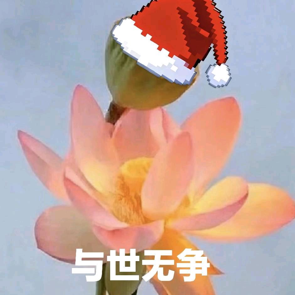 阿柠（想要爆单版）