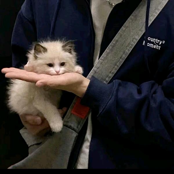 语过添情