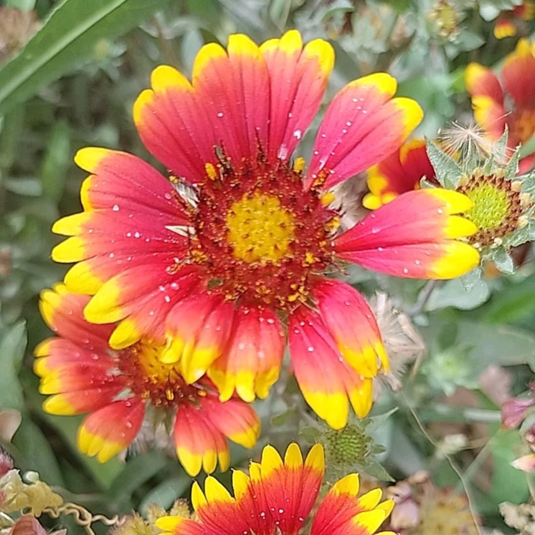 分享好物💕💚