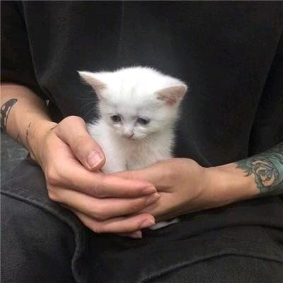 哈喽