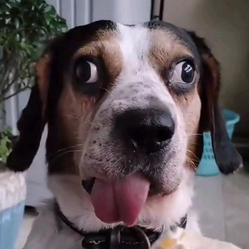 我的花园世界-昊昊