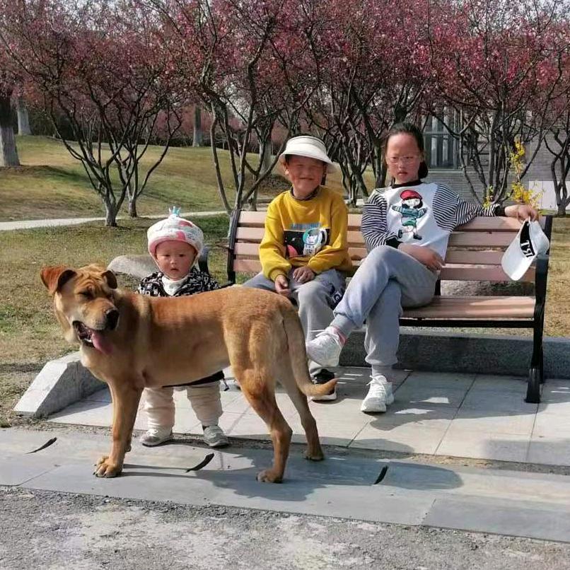 杨庄主