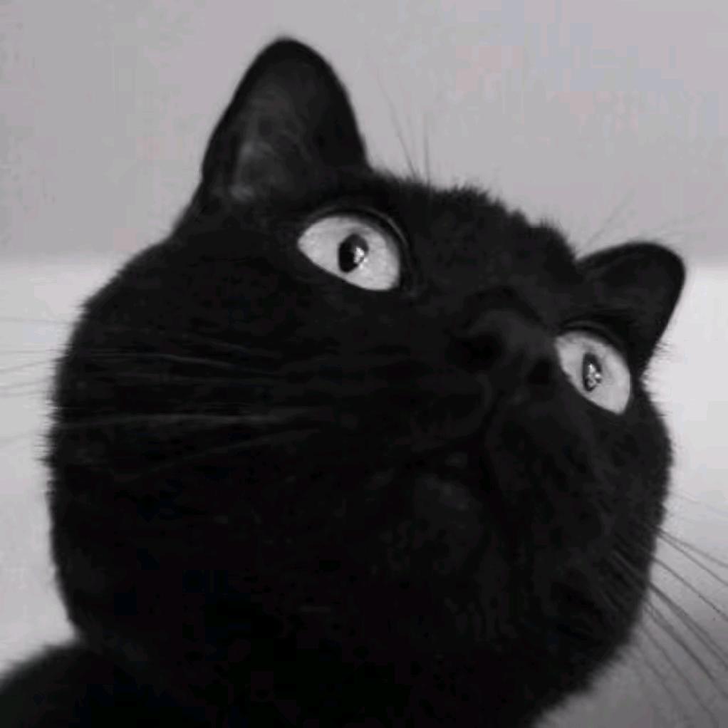 今天你瑞了吗☕