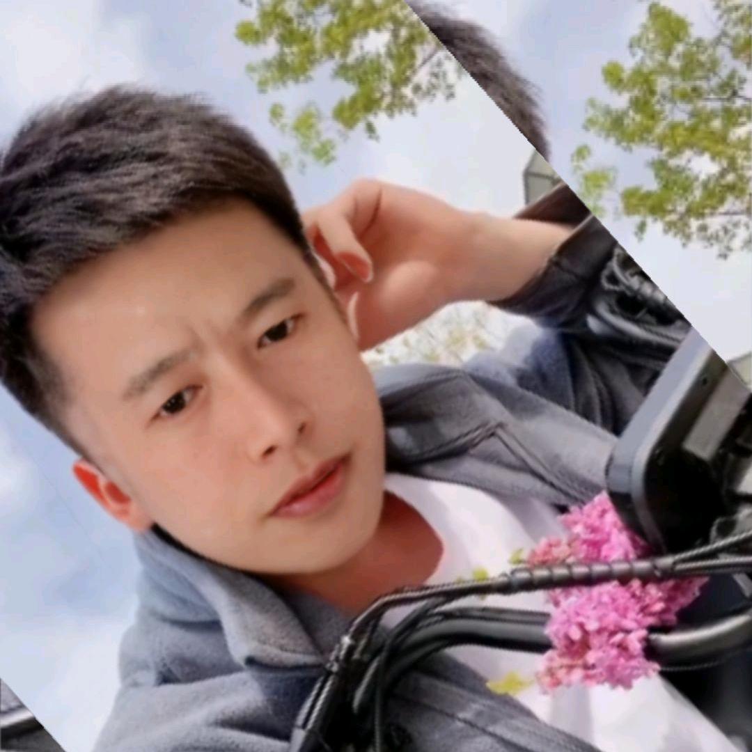 🎈大🐲漠🎄孤🐲狼