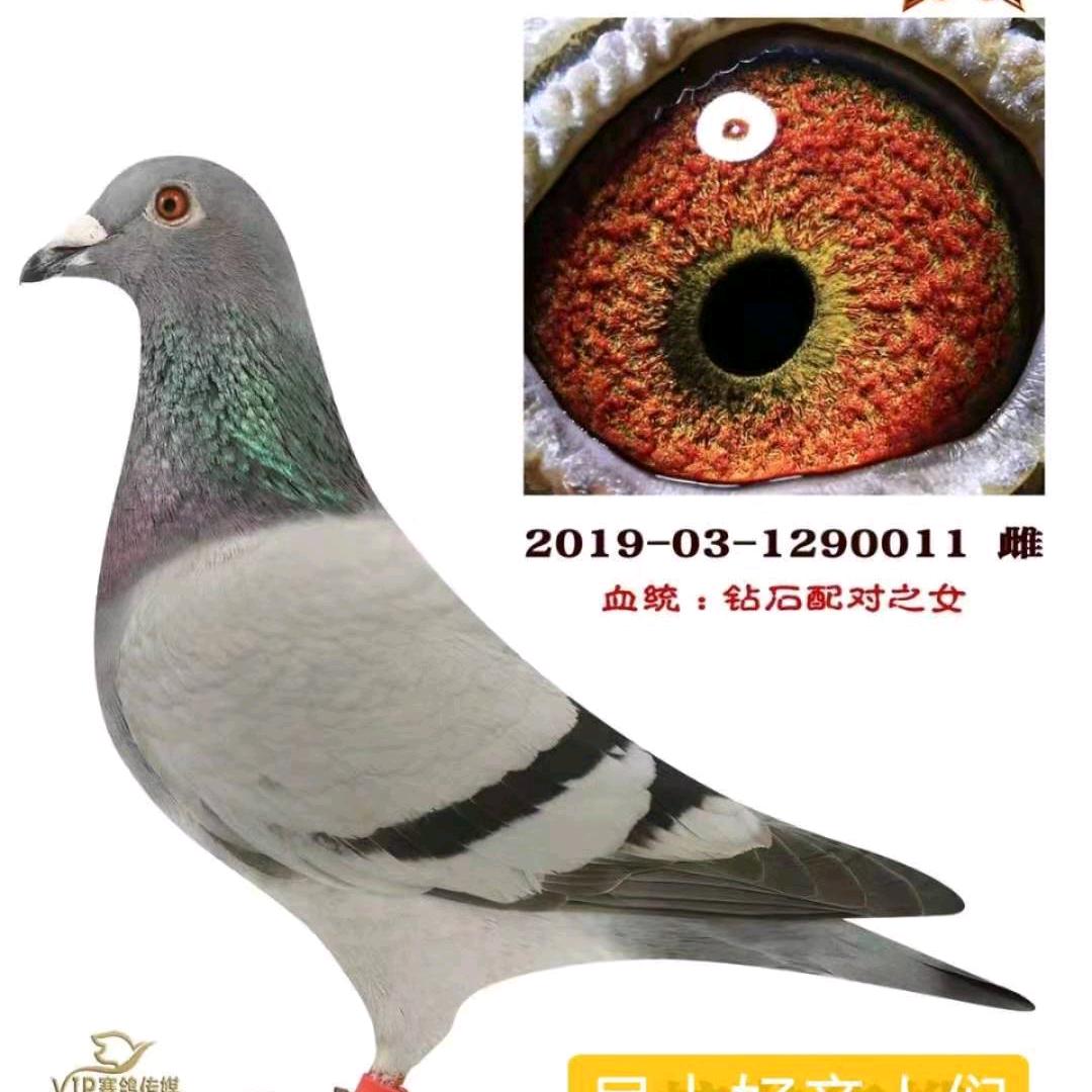 杨帆启航