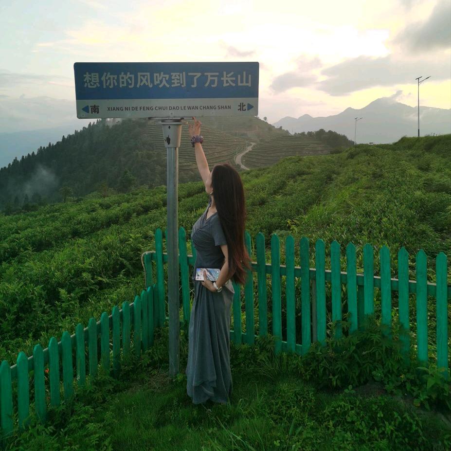冰淇淋🍨