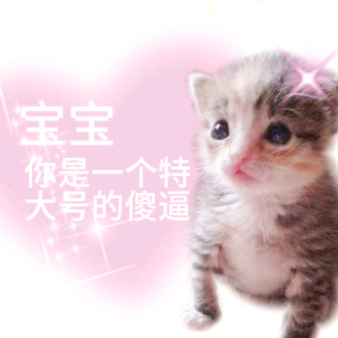 马桶别冲，喝着有滋味