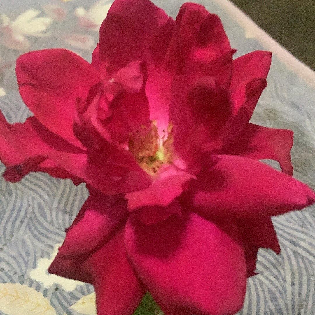 从此不再打扰你