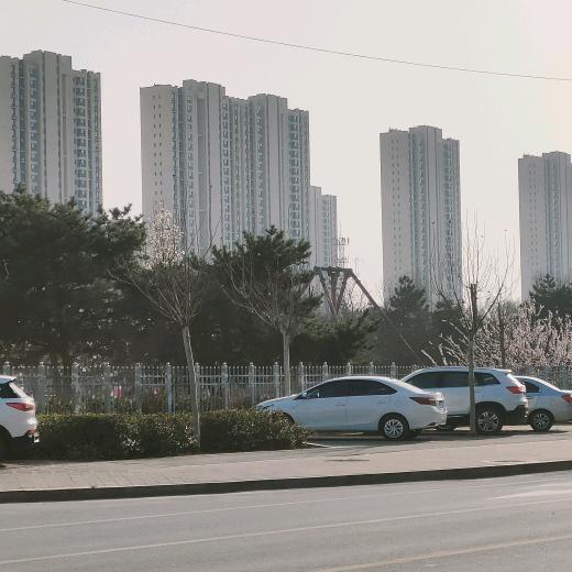 与时俱进(手机摄影)