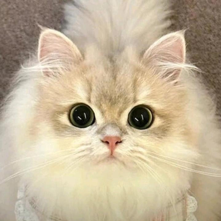 💞༊山河万里💞༊: