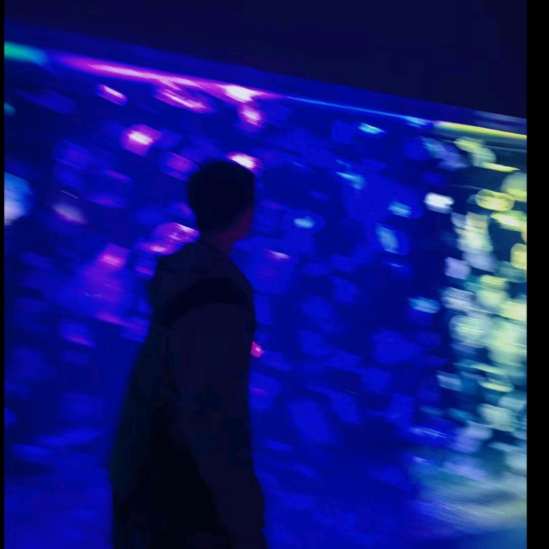 羽老苟