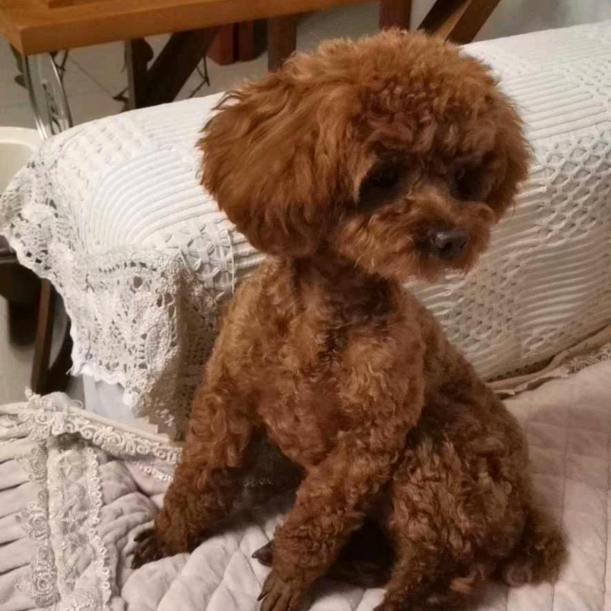 大姨和妈哥