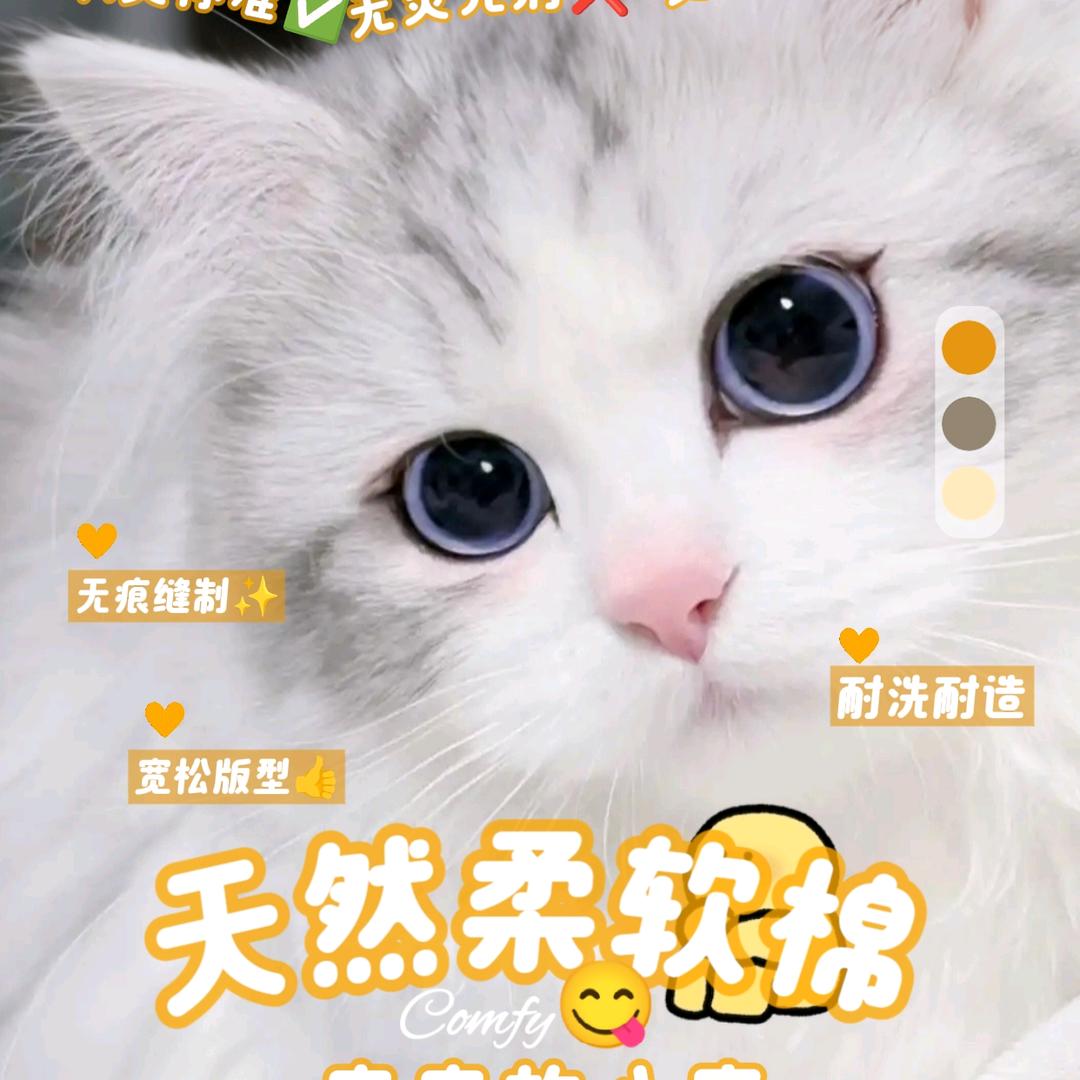 半糖好物