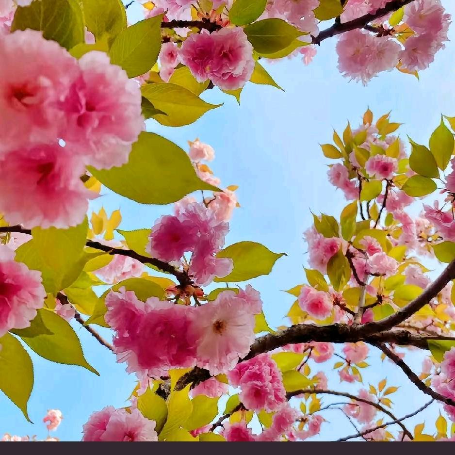 💞༊ღ᭄余生ꦿ꯭꧔ꦿ᭄💞有你