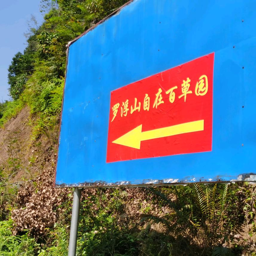 罗浮山自在百草园2