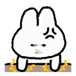 你真的记不住吗？