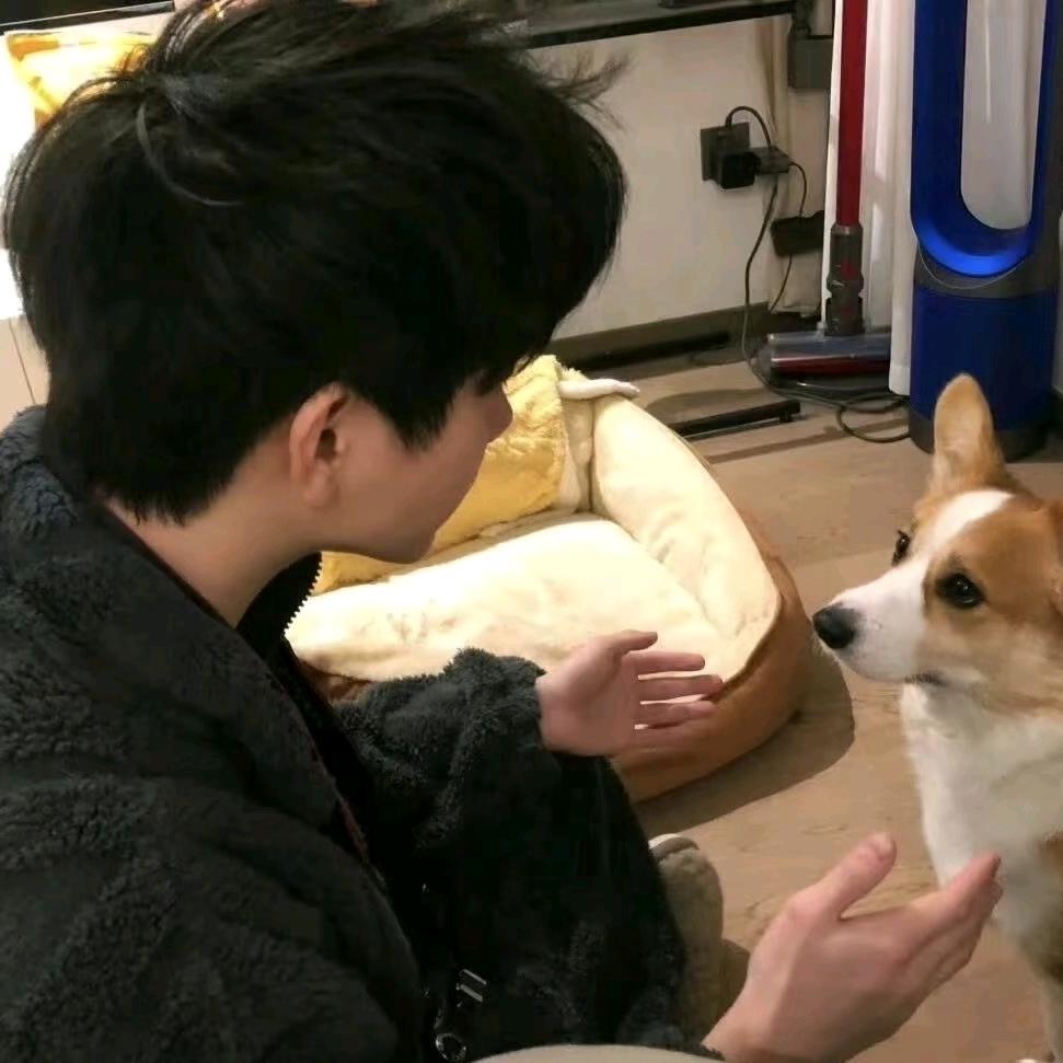 阿聪r