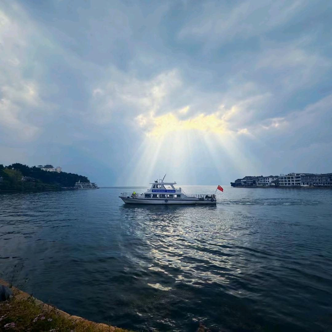 一根