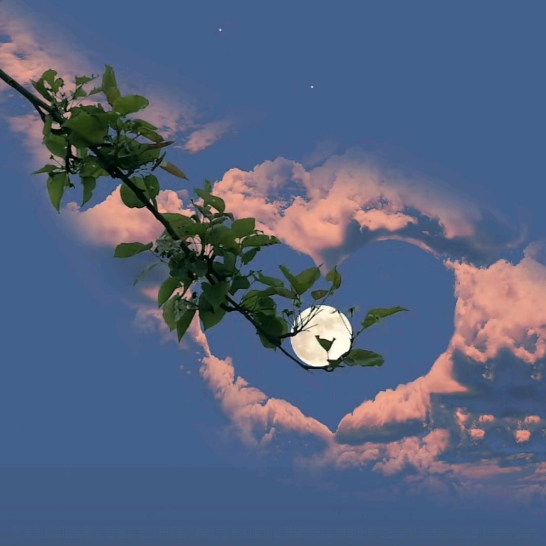 Serendipity