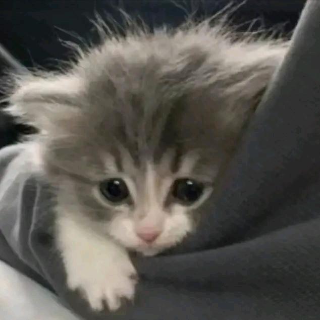 장위