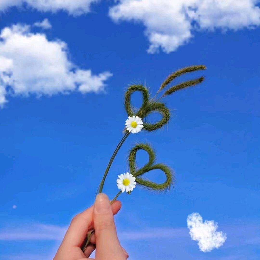 ℋღ♛别来🍒无恙💞