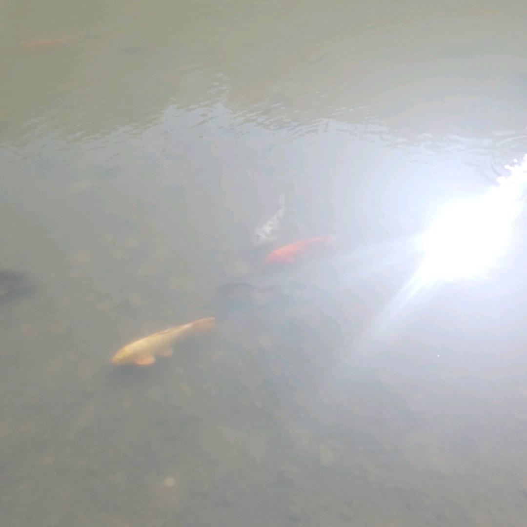 糖果那么甜