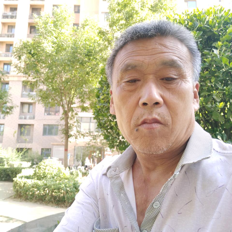 南便老高