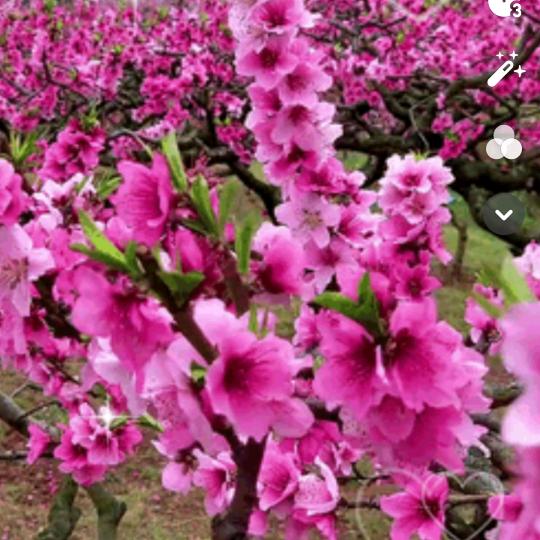 🥀এ᭄累了ꦿ谁💔疼ོ࿐ᩚ