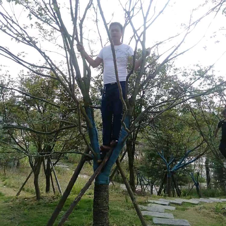 織金:郭珍貴…