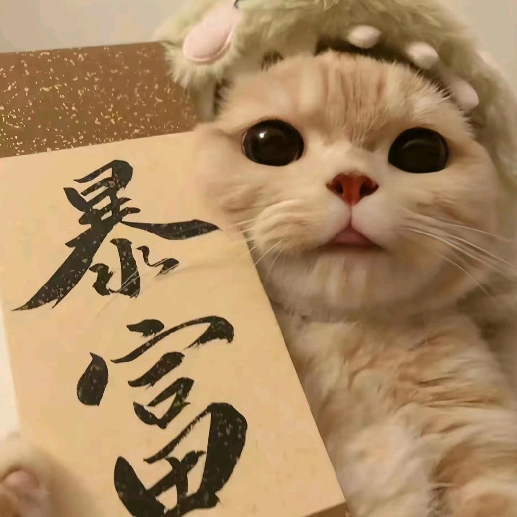 陈陈🎤