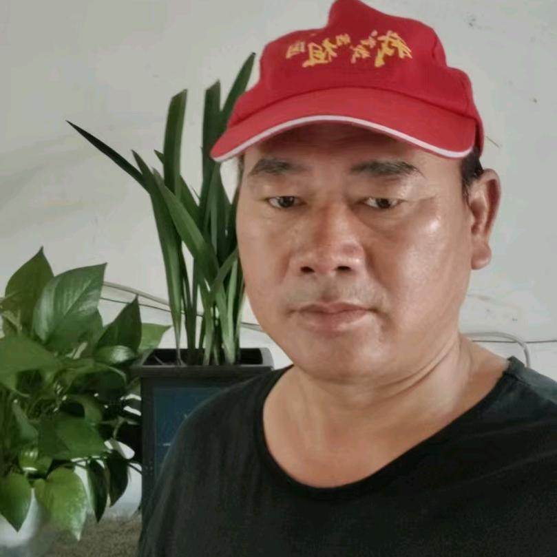 忘了吧