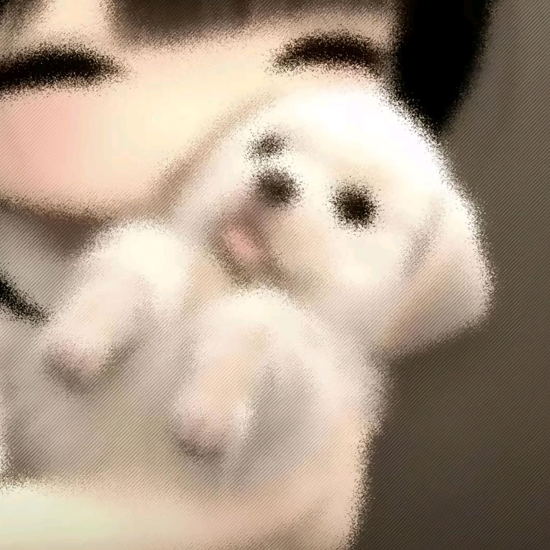 太子妃