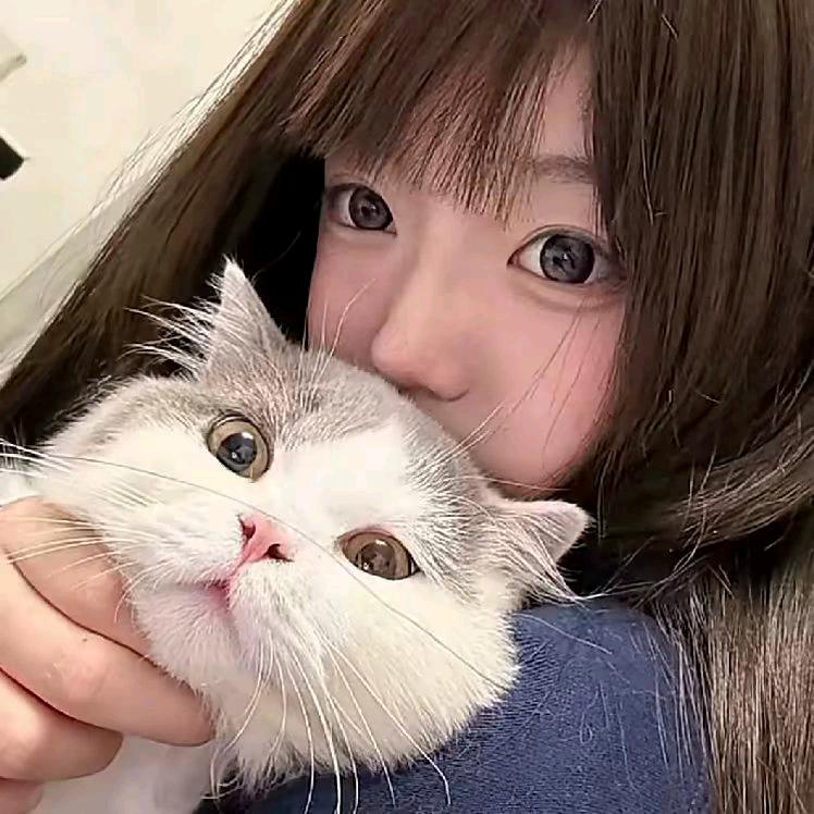 十二月