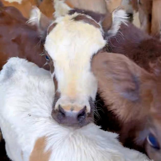 轻松走天涯海角