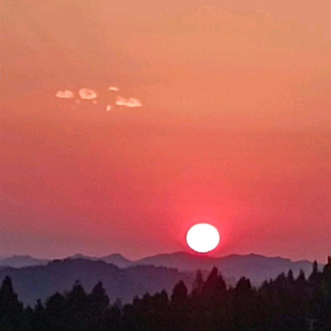 小刘哥