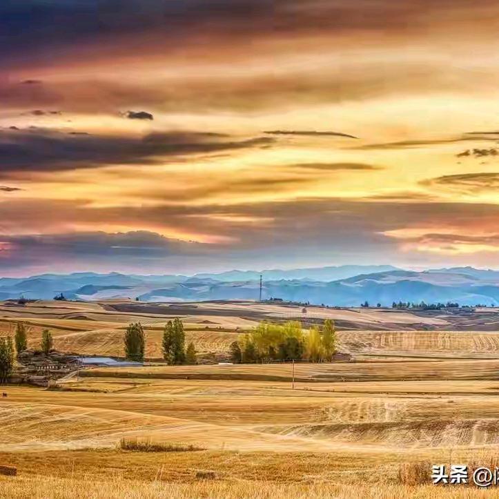 晓晓晓
