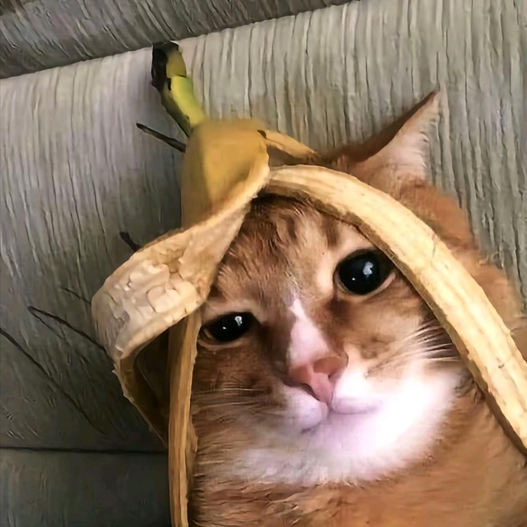 扰芜